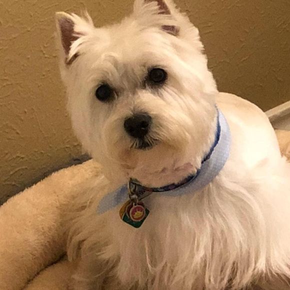 Meet your Posher, Jann - Picture 1 of 1